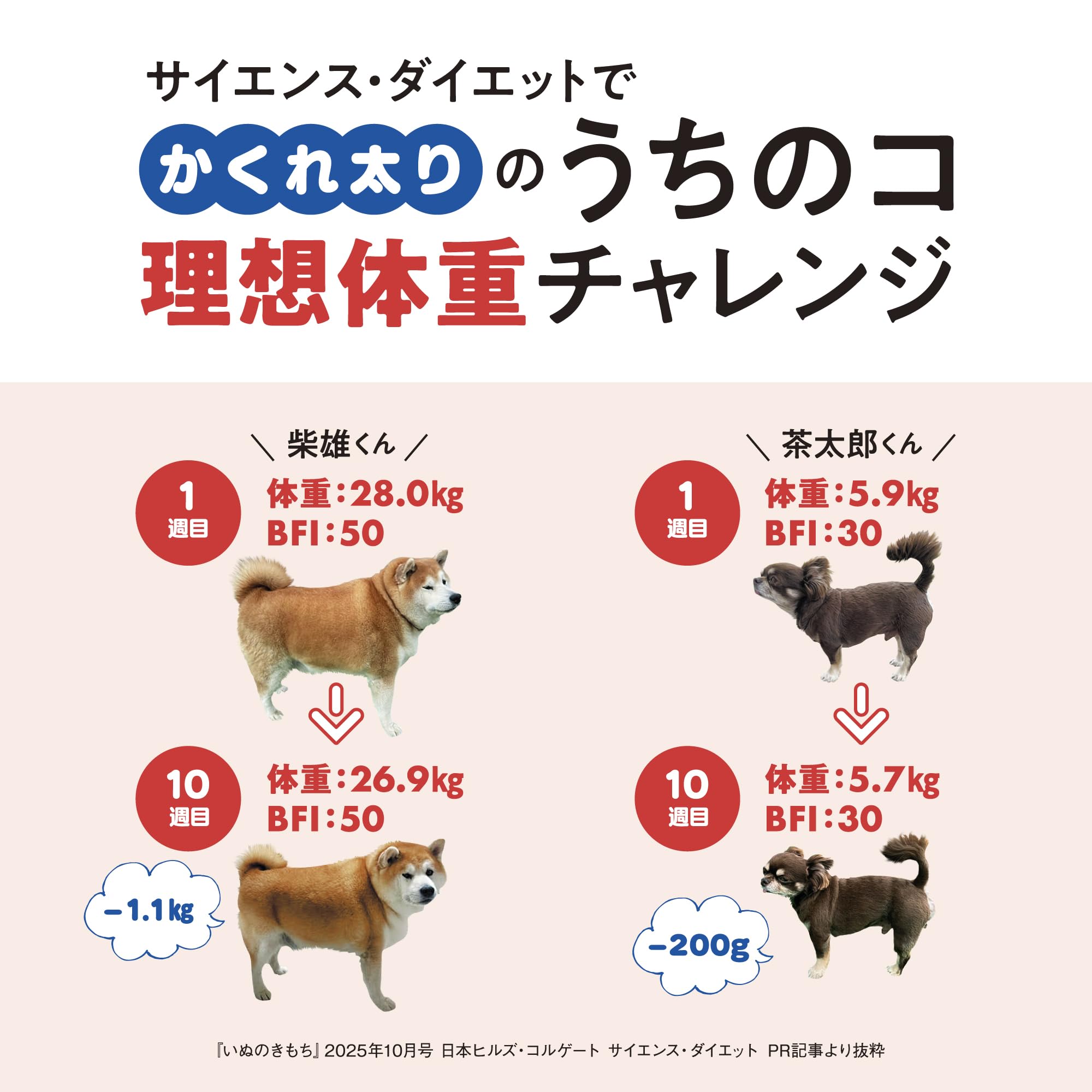 Amazon.co.jp: ヒルズ サイエンスダイエット ドッグフード 減量